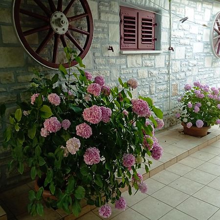 Apartman Sunce Umag Kültér fotó