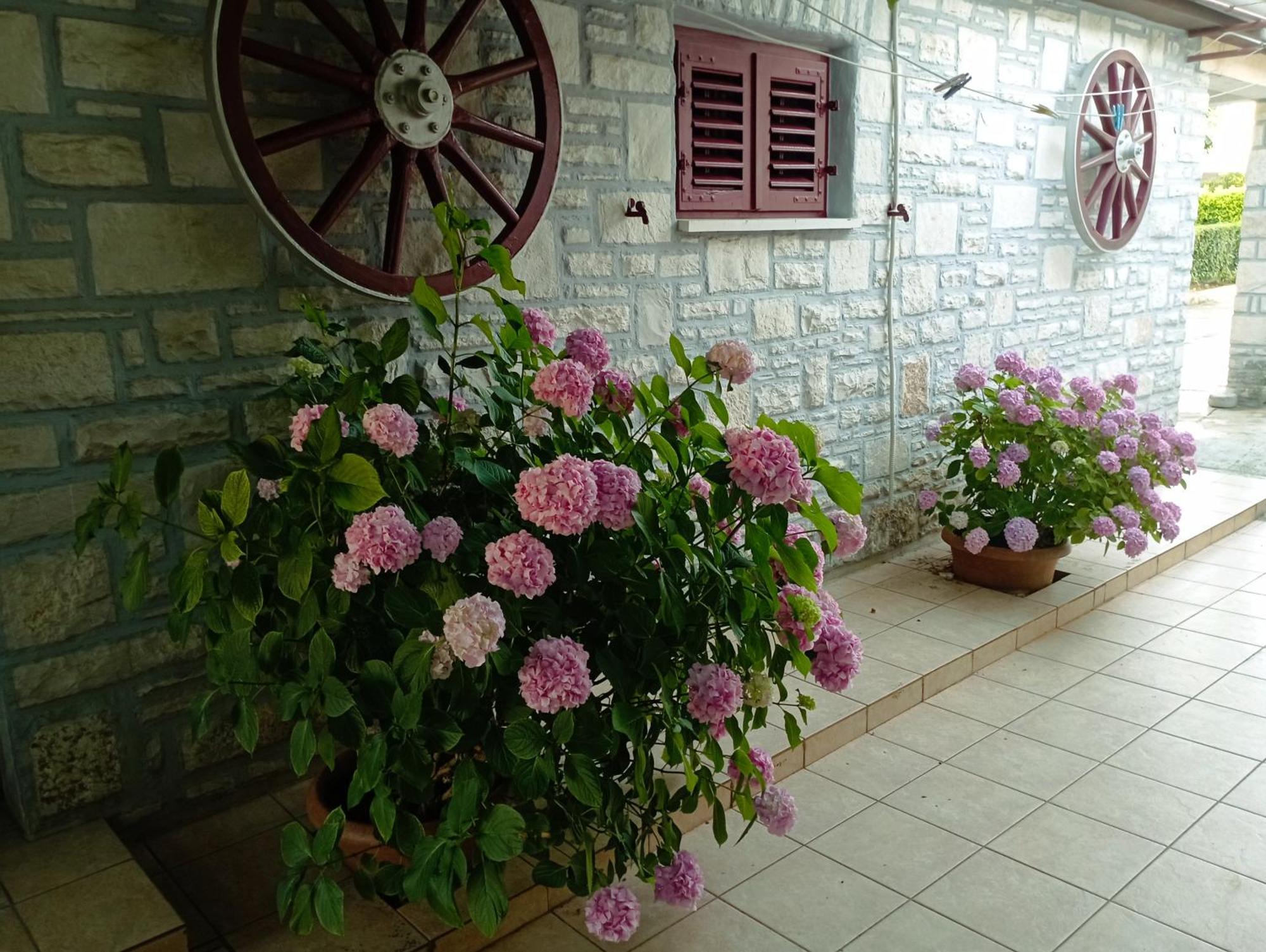 Apartman Sunce Umag Kültér fotó