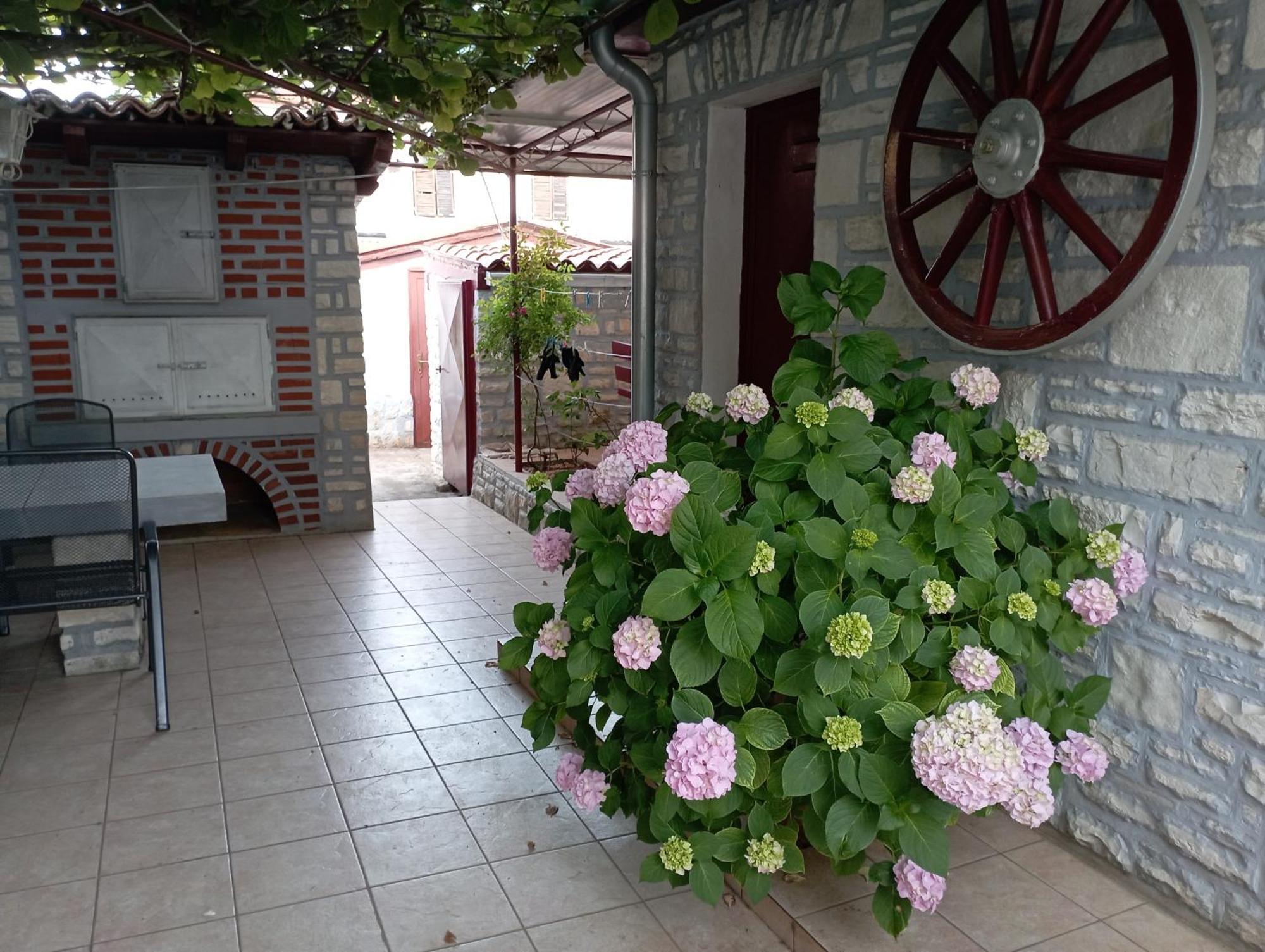 Apartman Sunce Umag Kültér fotó